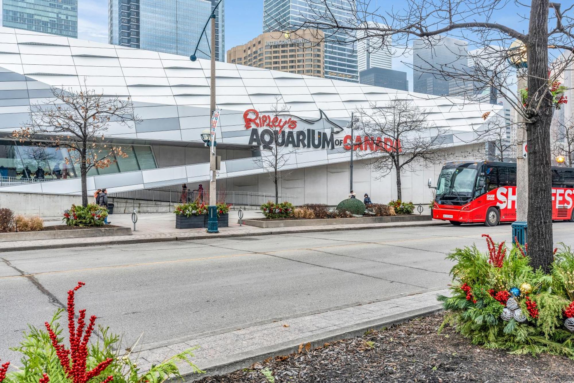 Spadina Modern Suites 토론토 외부 사진
